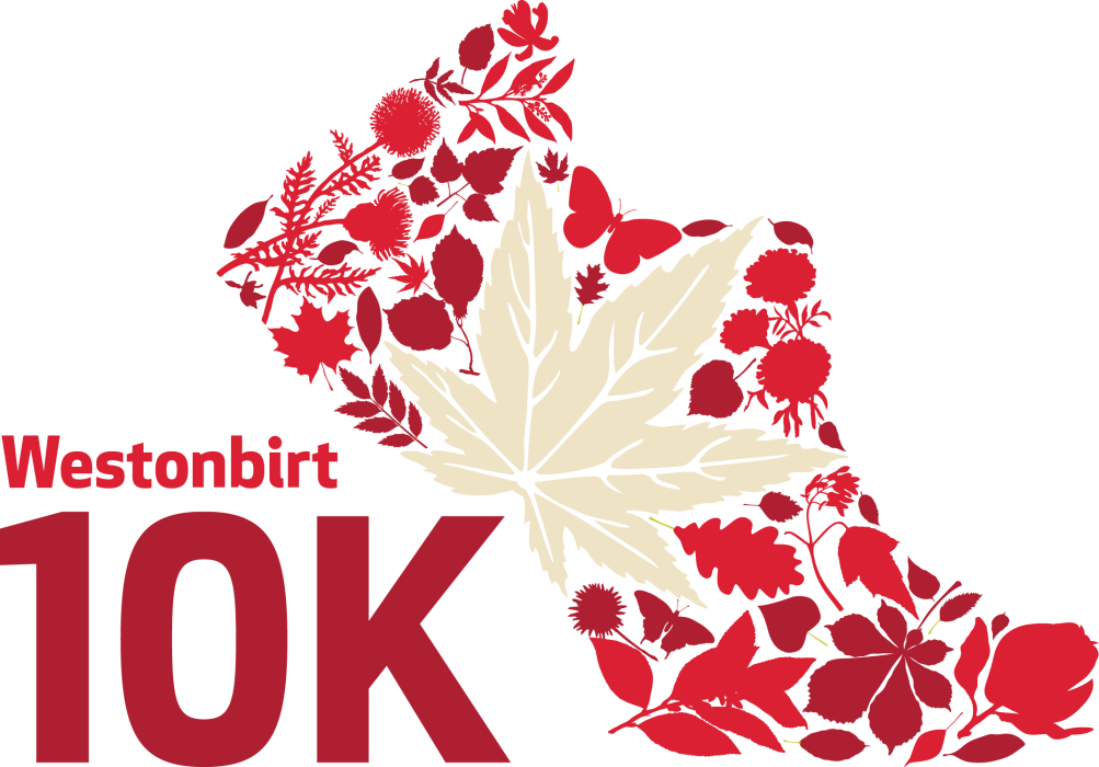 10k_shoe_transparent.png